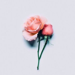 Meet your Posher, Emely